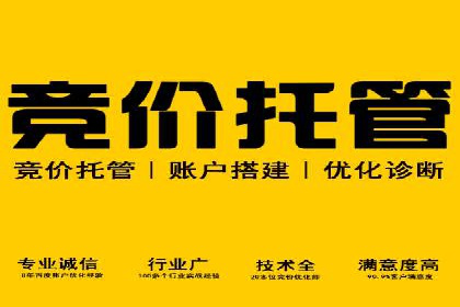 SEM代运营案例：品牌影响力提升